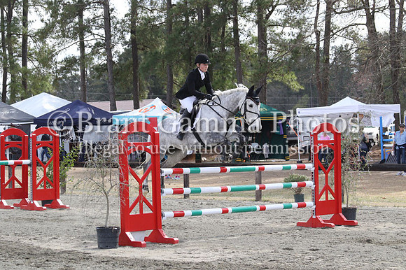CI7S4391