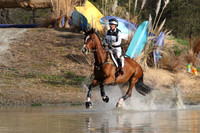 CI7L1651