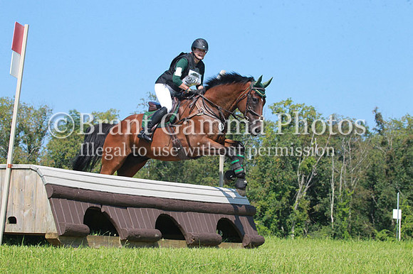 aMB1P1199