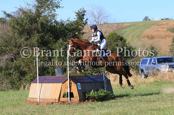 VF4B3306