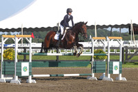 MB8P1502