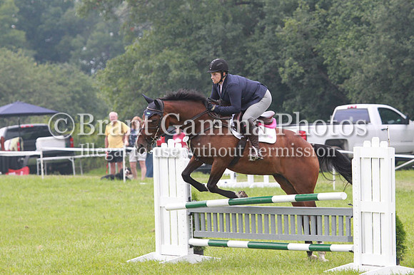 GV1P3184