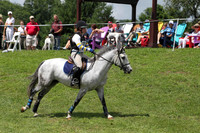 MB8B1305