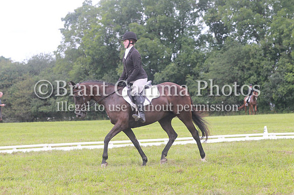 GV1P1915