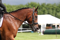 GV8B0683