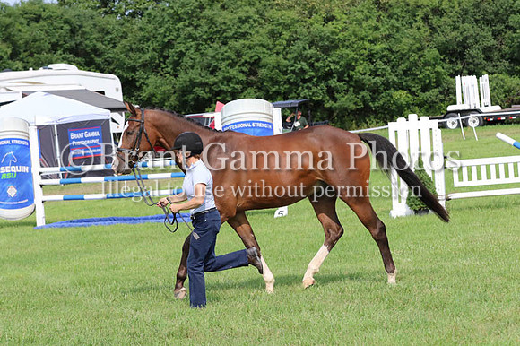 GV8R1837