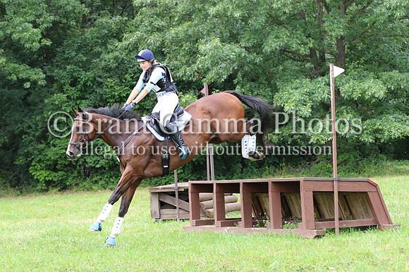 GV8R2736