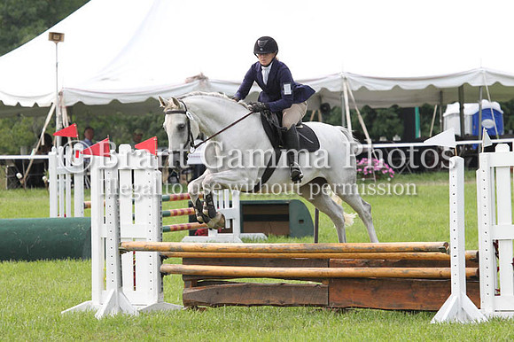 GV8P1962