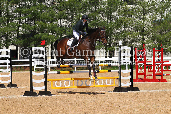 VS2P2331