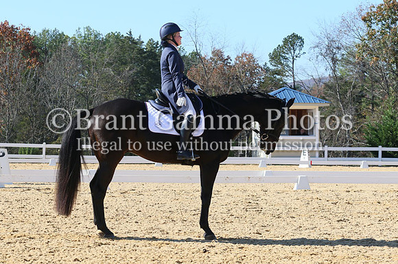 VF3B1924