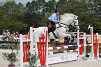WF8P1299