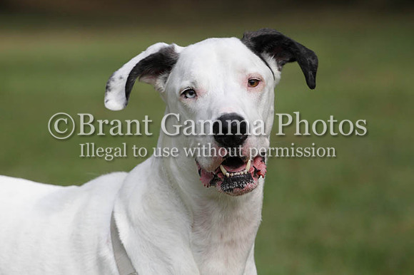 WF8B0625