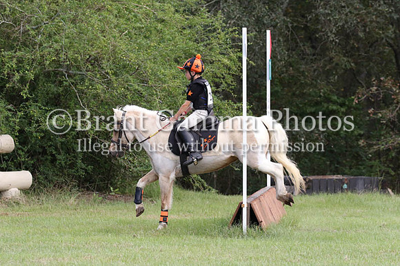 WF8C1674