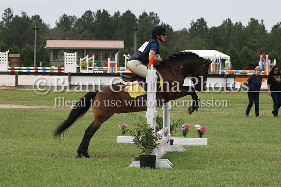 WF8L1335