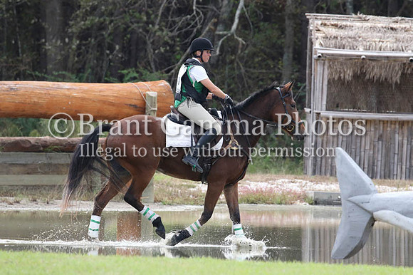 WF8C1544