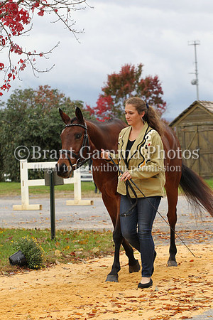 VF8B1438