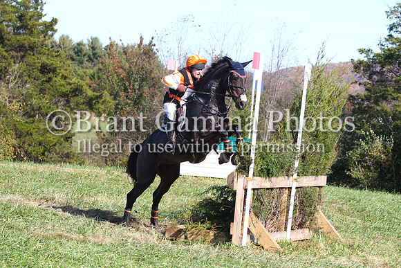 VF8P3428