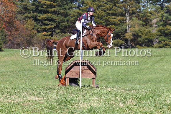VF8P3468