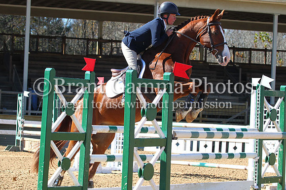 VF8P4450