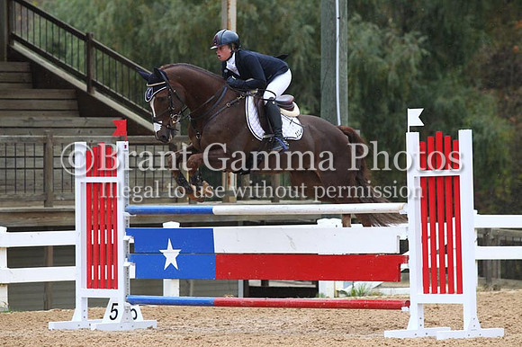 VF8P1589