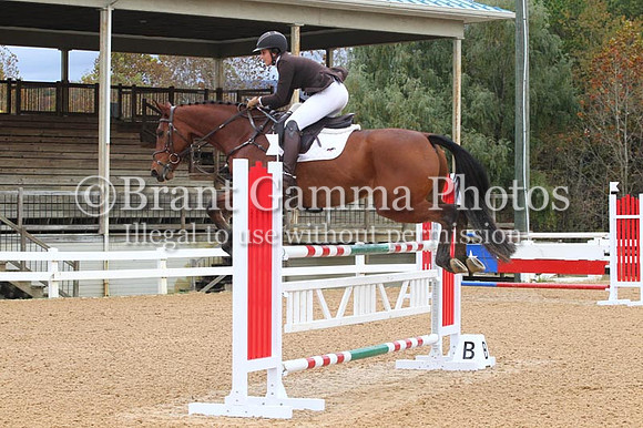 VF8P1243