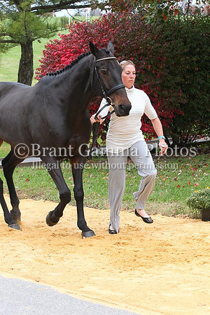 VF8P0241