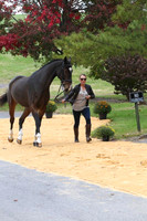 VF8P0027