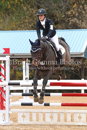 VF8P1294