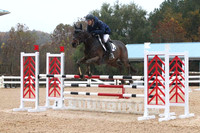 VF8P1948