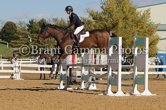 VF8E8322