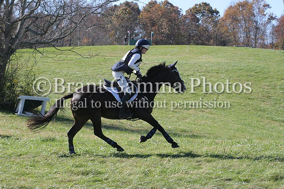 WS8C5611