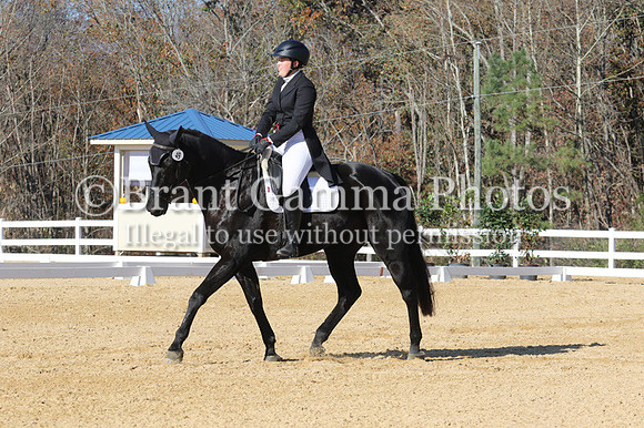 VF3B1652