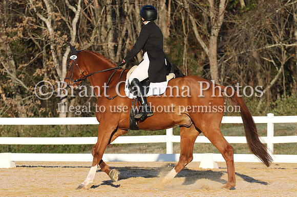 VF3B0762