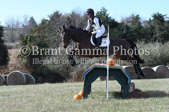 VFS_0985