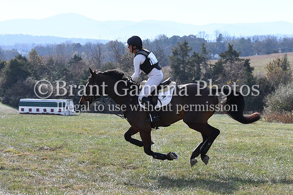 VFS_0991