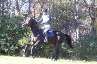 VF8K2061