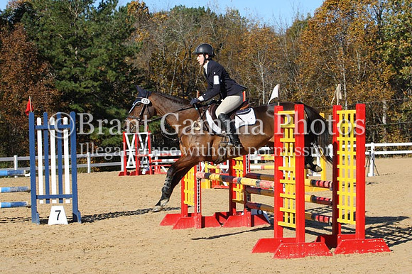 VF8L3085