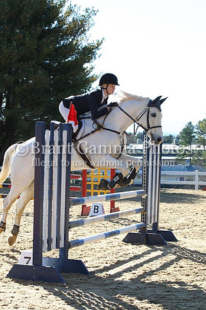 VF8L3339