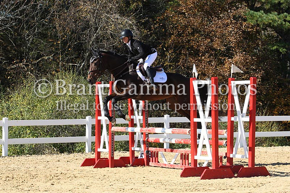 VF8L3690