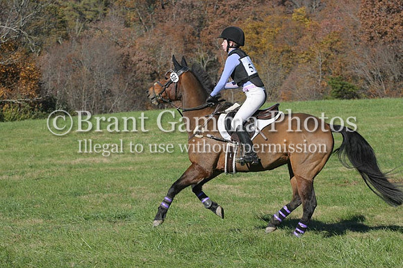 WS8C6374