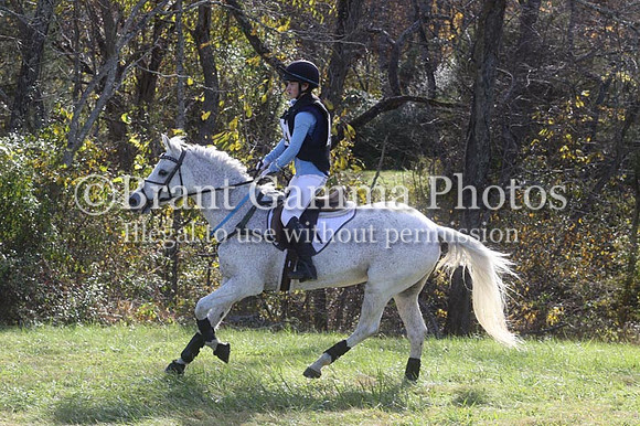 VF8K2359