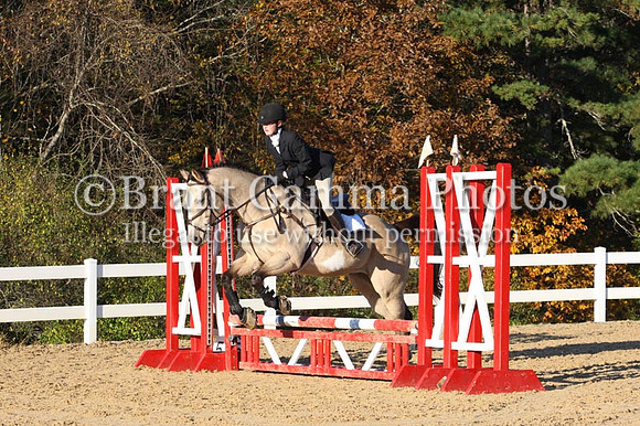 VF8L2846