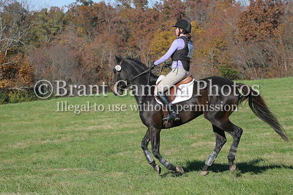 WS8C6339