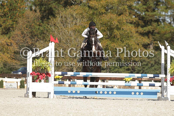 WC8E0917