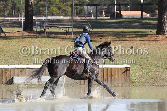 WC8B1515