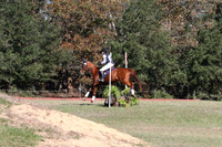 WC8C0212