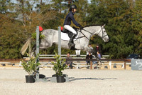 WC8E2025