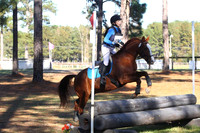 WC8P1110