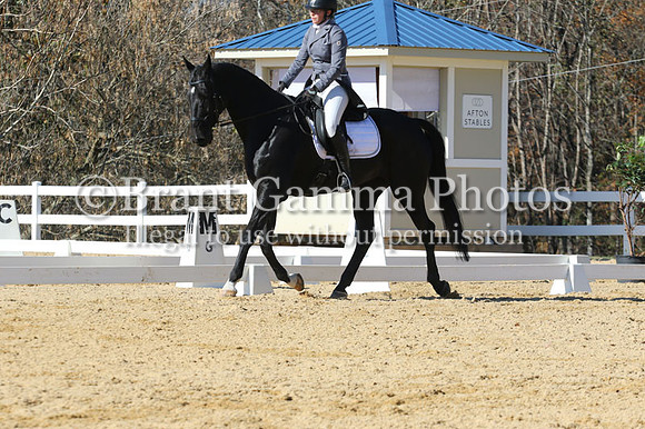 VF3B1826