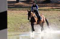 WC8B1139
